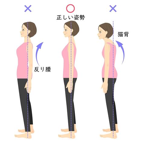 人 姿勢|理想の姿勢を手に入れよう！セルフチェックと正しい。